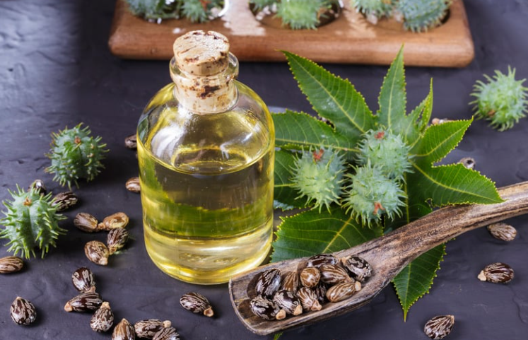 The Power of Castor Oil